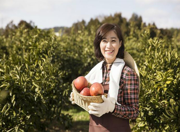 【潤康】磨煤機(jī)磨輥與您分享：互聯(lián)網(wǎng)巨頭紛紛賣菜，農(nóng)民會不會被“割韭菜”？